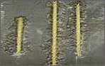 betonneu.jpg (18273 Byte)